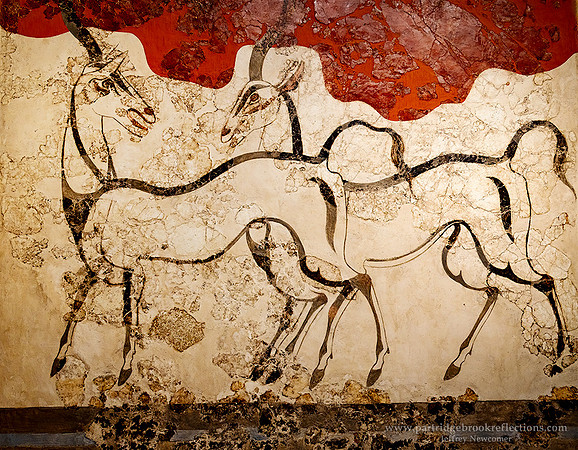 240909PrancingWallArtNatArchMuseumAthensGr