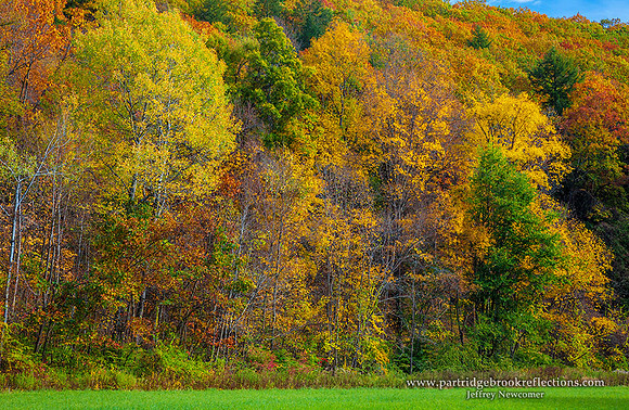 Golden wall, Hinsdale, NH
