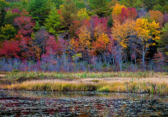 Pondside, Troy, nh
