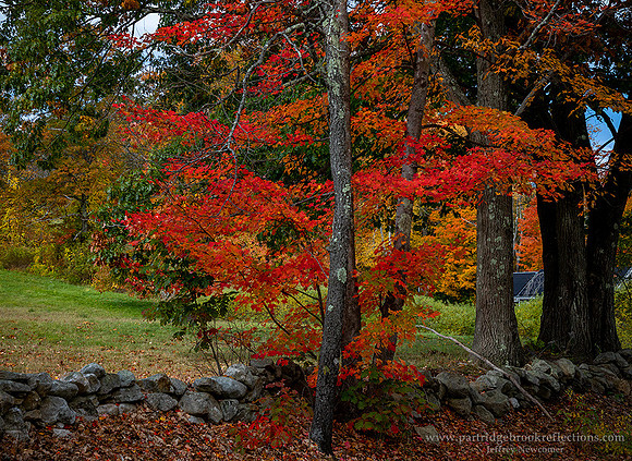 221016SpringStreetColorSpoffordNH