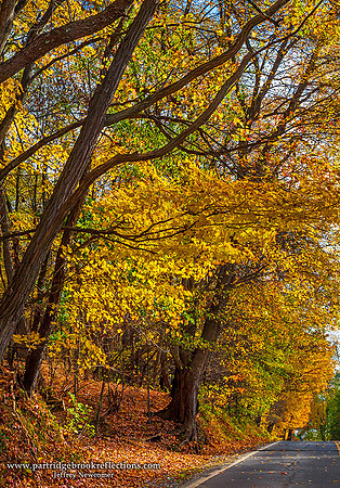 Up Hill, Hinsdale, NH