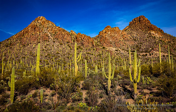 230312GatesPassTucsonMountains-Ar
