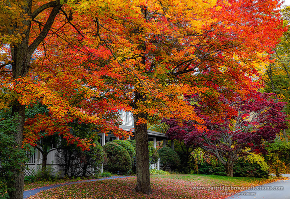 221009AutumnInnSpoffordNH