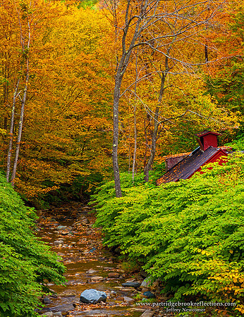 Mill Brook Shack, Pomfret, Vt
