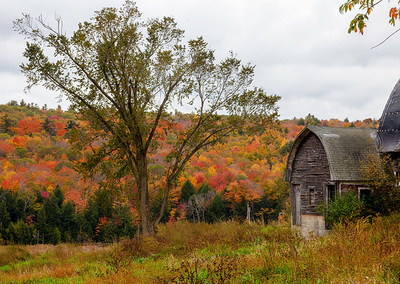 Color Beyond, Walpole, NH