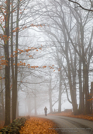 161125MistyWalkChesterfieldNH