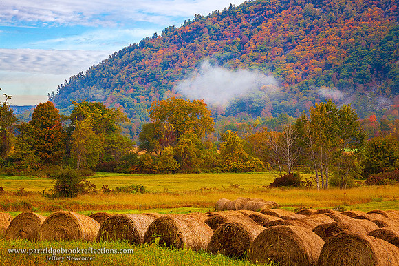 Autumn Ranks, Reading, Vt