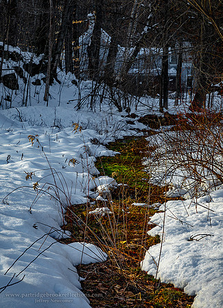 230128MidWinterThawSpoffordNH