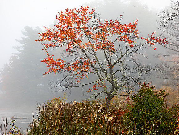 221011ByThePondChesterfieldNH
