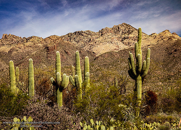 230310SabinoCanyonRdTucsonAz