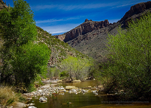 230310SabinoCreekGreenTucsonAz