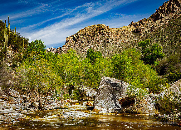 230310CreekBoulderSabinoCanyonTucsonAz