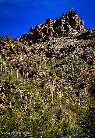230310CanyonRimSabinoCanyonTucsonAz