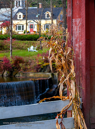 Green River Stalks, Guilford, Vt