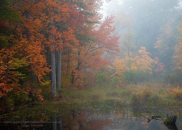 221011WetOctoberChesterfieldNH