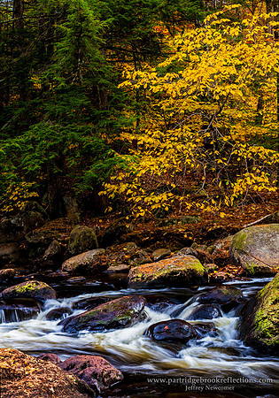 Otter Brook Splash 2