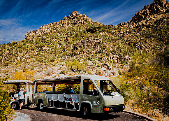 230310EndOfTheLineSabinoCanyonTucsonAz