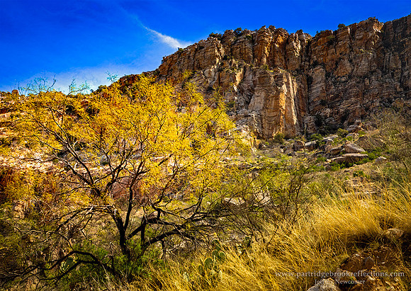 230310HangingOnSabinoCanyonTucsonAz
