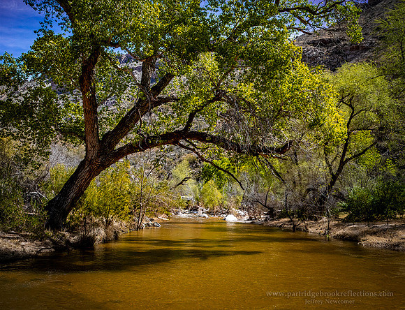 230310SabinoCreekShadeTucsonAz