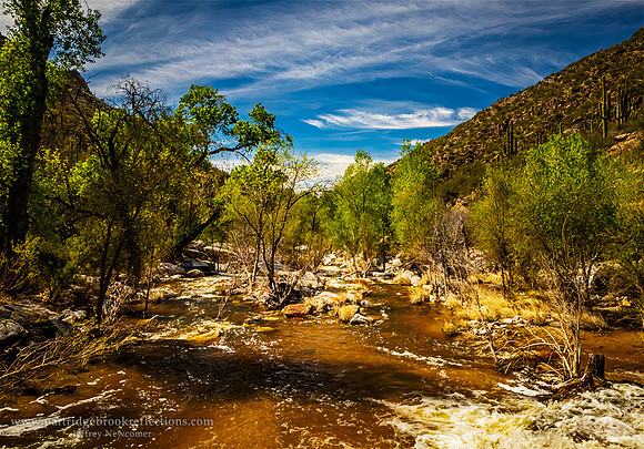 230310SabinoCanyonWashTucsonAz