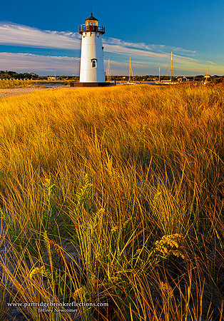 Vineyard Grass, Edgartown, Martha's Vineyard