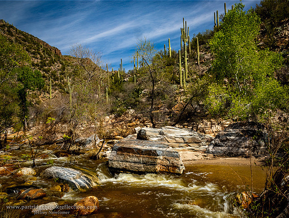 230310SabinoCreekCaascadeTucsonAz