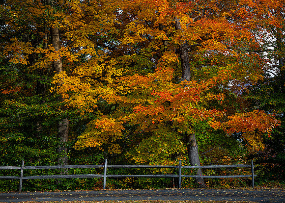 200928AutumnsEdgeLondonderryVt