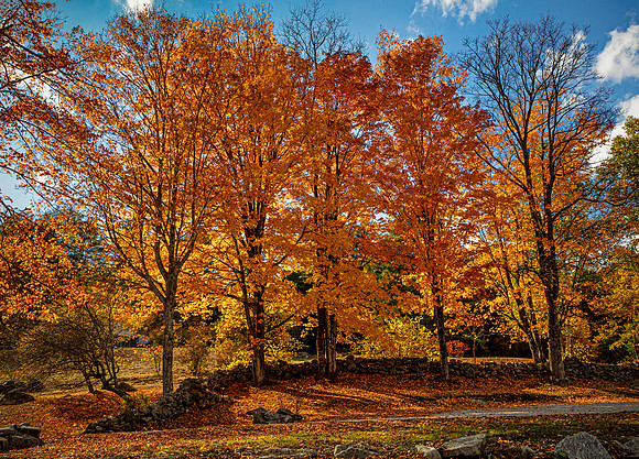 200928GoldenBoundaryLondonderryVt