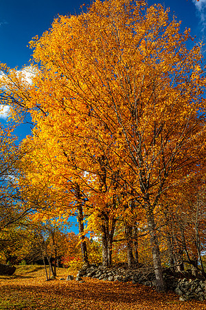 200928AutumnClimbDummerstonVt