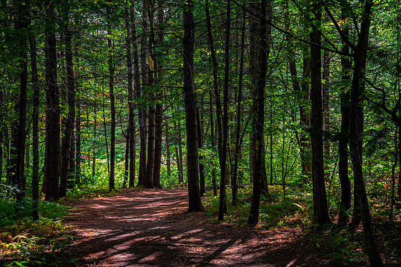 200920AshuelotRiverTrailTurnKeeneNH
