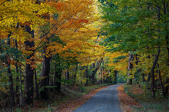 200928HiddenColorDummerstonVt