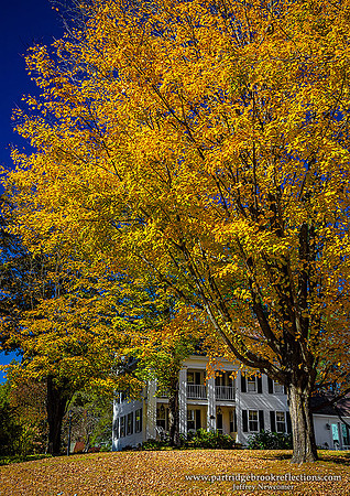 201009HilltopAutumnSpoffordNH
