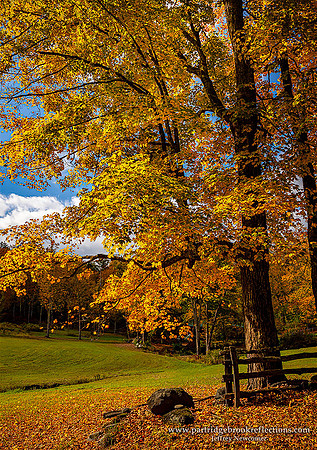 201006FenceEndsDummerstonVt