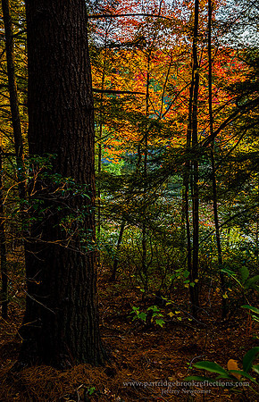 201010LakeEdgeLaurelLakeErvingMa-HDR