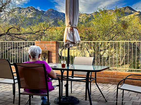 230310TeaOnThePatioTucsonAz