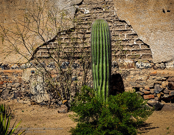 230312ChurchWallStFrancisDeXavierTucsonAz
