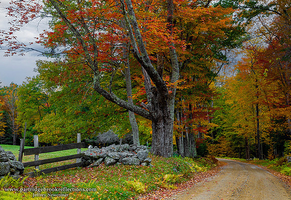 221010FerryBrookRoadSullivanNHskySharp