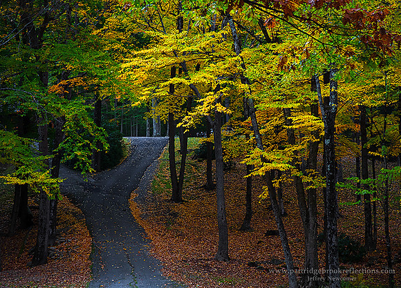 221010PathsDivergeChesterfieldNH