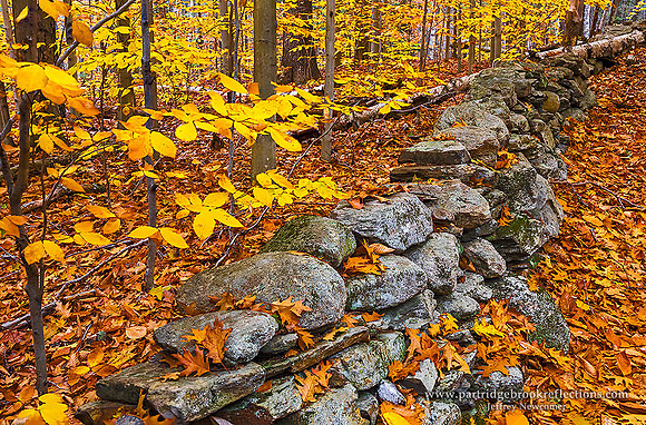 161105GraniteBorderChesterfieldNH