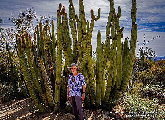 230312SueOrganPipeCactusAz
