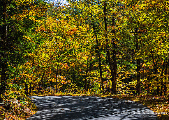 221009BrilliantBendSurryNH