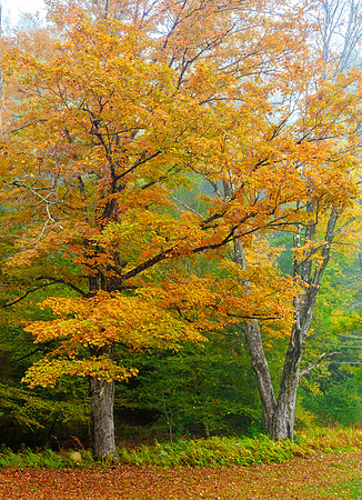 Autumn's Edge, Chesterfield, New Hampshire