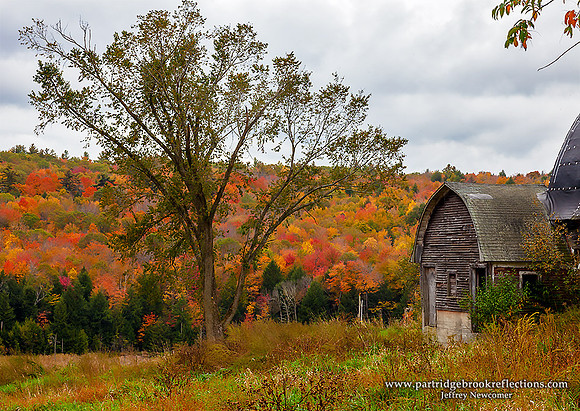 Color Beyond, Walpole, NH