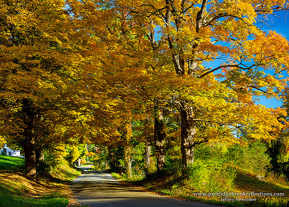 221006GoldenPassageDummerstonVt