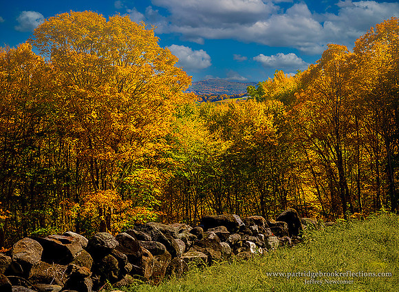 221008OctoberGranitePutneyVt