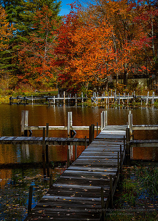 221016AutumnDockSpoffordNH