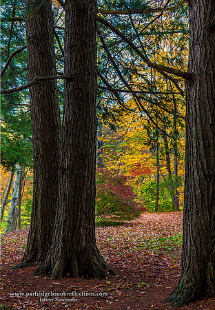 Hemlock Gateway, Spofford, NH