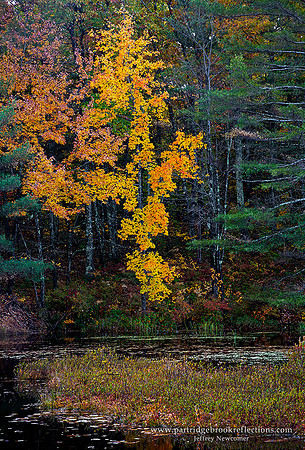 221014MeetingHousePondColorMarlboroughNH