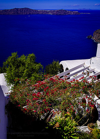 240916CliffsideBloomsSantoriniGr