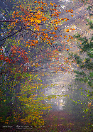 Autumn Mist, Spofford, NH